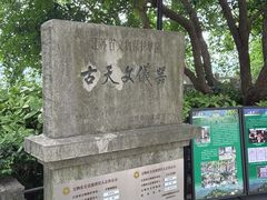 -紫金山天文台