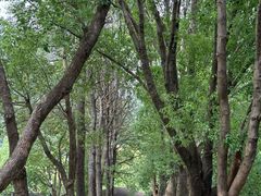 -宝岩生态观光园