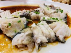 -黄埔华苑酒家(黄埔总店)