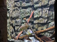 -上海海洋水族馆