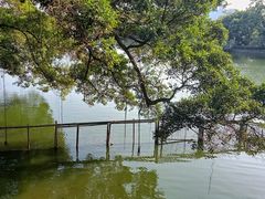 -东山湖公园
