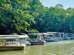 -上海海湾国家森林公园