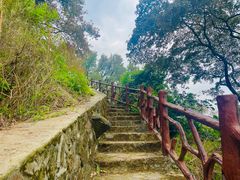 -广州市石门国家森林公园