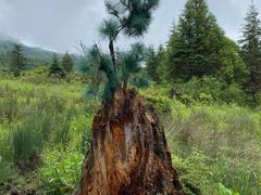 -硗碛藏寨·神木垒景区