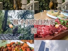 -黔灵山公园