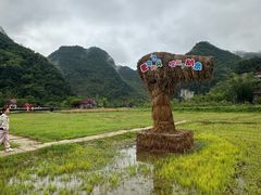 -靖西鹅泉风景区
