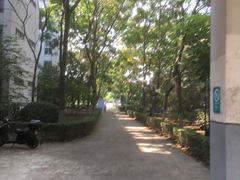 -南京理工大学紫金学院