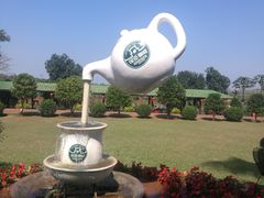 -侯臣咖啡文化村