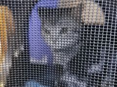 -萌兽医馆·绝育·24小时内科·宠物医院(德胜店)