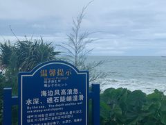 -广东惠东海龟国家级自然保护区
