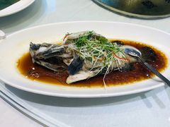 -骏莱海鲜鱼港(五角场店)