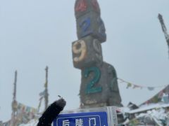 -藏味八珍特色火锅