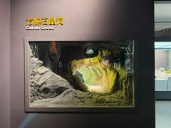 -湖南省地质博物馆