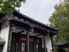 -桂湖森林公园