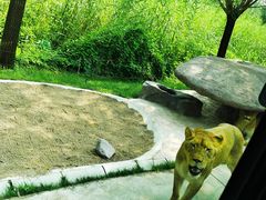 -北京野生动物园