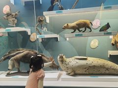 -国家自然博物馆