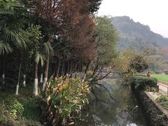 -八卦田遗址公园