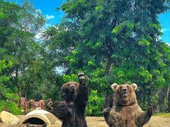 -大连森林动物园