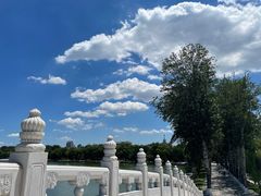 -CoCo都可(望京凯德mall店)