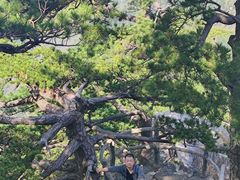 -罗田薄刀峰风景区