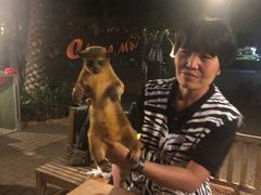 -清迈夜间动物园
