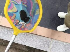 -葫芦岛站