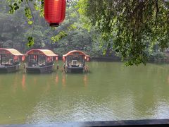 -侨美·唐荔园·40年地道粤菜