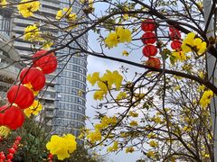 -洲头咀公园