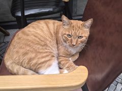 -CHURCH  BISTRO 教堂·餐吧