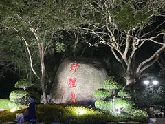 -野狸岛