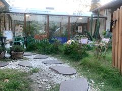 -Jo's Garden