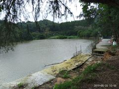 -火炉山森林公园