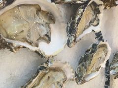 -九月海·海鲜自助(世纪东方店)