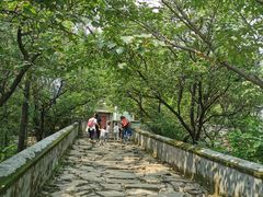 -阳台山自然风景区