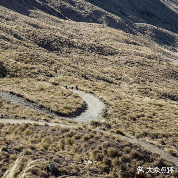 身体在地狱眼睛在天堂,新西兰徒步路线推荐