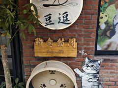 -豆逗聊愈猫阁Easy Life