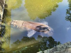 -海南热带野生动植物园