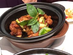 金不换浓香鸡煲-太兴餐厅(东方广场分店)