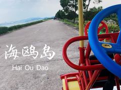 -海鸥岛