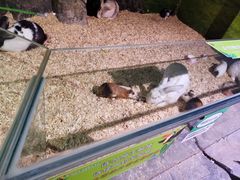 -正佳雨林生态植物园