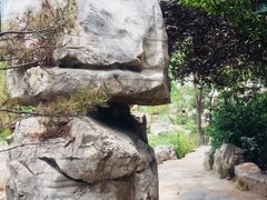 -宛园