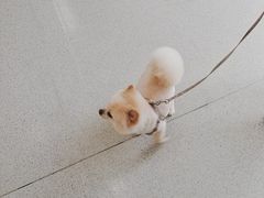 -宠颐生宠物医院·异宠猫科内科·诊疗中心宠巢店
