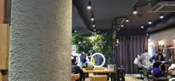 点击看大图 -藤野造型