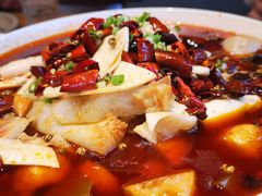 -鸽子窝(青塔店)