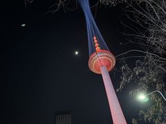-辽宁电视塔