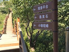 -大岭沟猕猴桃谷风景区