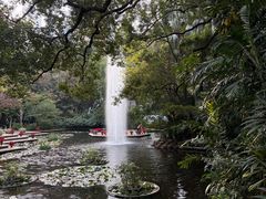 -九龙公园