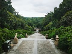 -宜兴龙背山森林公园