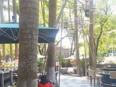 -深圳威尼斯英迪格酒店-邻芙花廊下午茶·NINFA GALLERY·蛋糕·咖啡