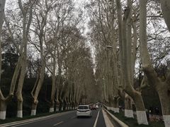 -南京国际会议大酒店